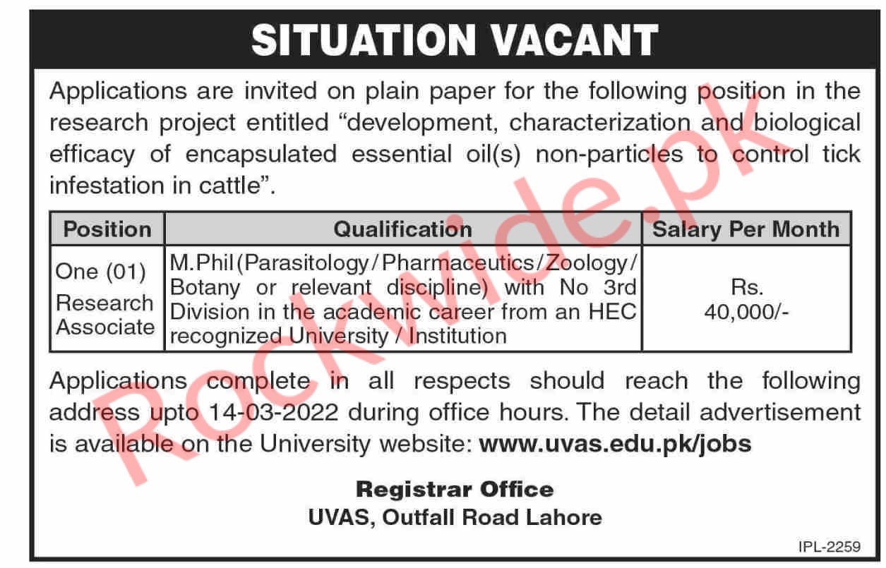 The University Of Veterinary And Animal Sciences (UVAS) Job Vacancy In  Lahore - Rockwide